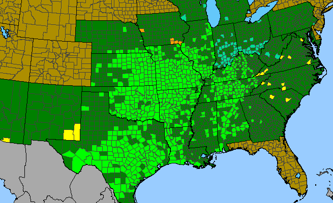The range of Croton monanthogynus